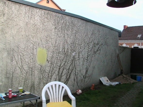 Eine große hässliche Mauer, mit Spuren von Efeubewachsungen.