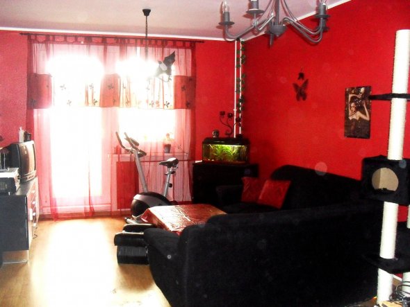 Akuellstes Bild, inzwischen ist das ganze Wohnzimmer rot.
Bald gibt es neue Fotos denn alles bis auf Couch und fernsehschrank hat einen neuen P