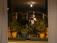 Fensterbank bei Nacht, mit neuer Zimmerpflanze von der Kirmeslosbude ;)