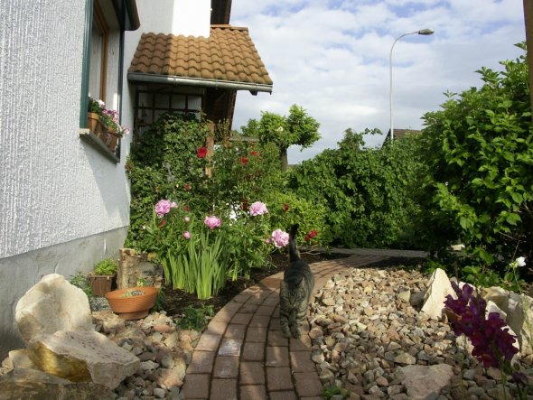 Hausfassade / Außenansichten 'Vorgarten'