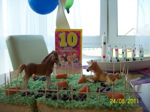 Das ist der Pferdekoppel Kuchen meiner Tochter zum 10. Geb. 2011.