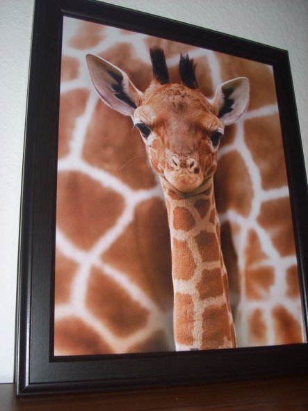 mein zweites, kürzlich erworbenes Giraffen Bild. Ich liebe Giraffen :)