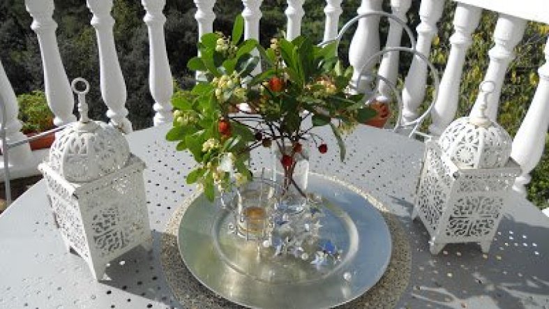 Deko auf der Terrasse.
Die Zweige sind vom "Modroño" auch Erdbeerbaum genannt, Lustigerweise trägt er gleichzeitig Blüten und Früchte