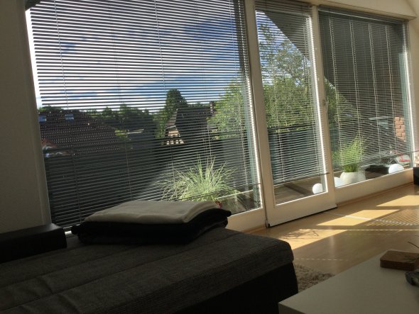 Ein Blick von der Couch nach draußen :) 

Die große Fensterfront lässt auch mit Rollos sehr viel Licht in die Wohnung.