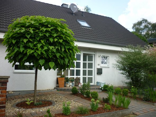 Hausfassade / Außenansichten 'Vorgarten aktuell'
